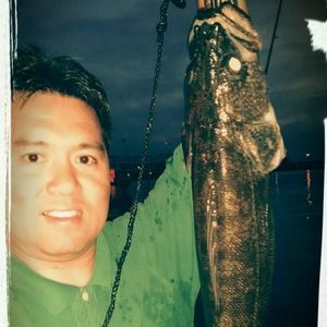 Meet your Posher, Jose